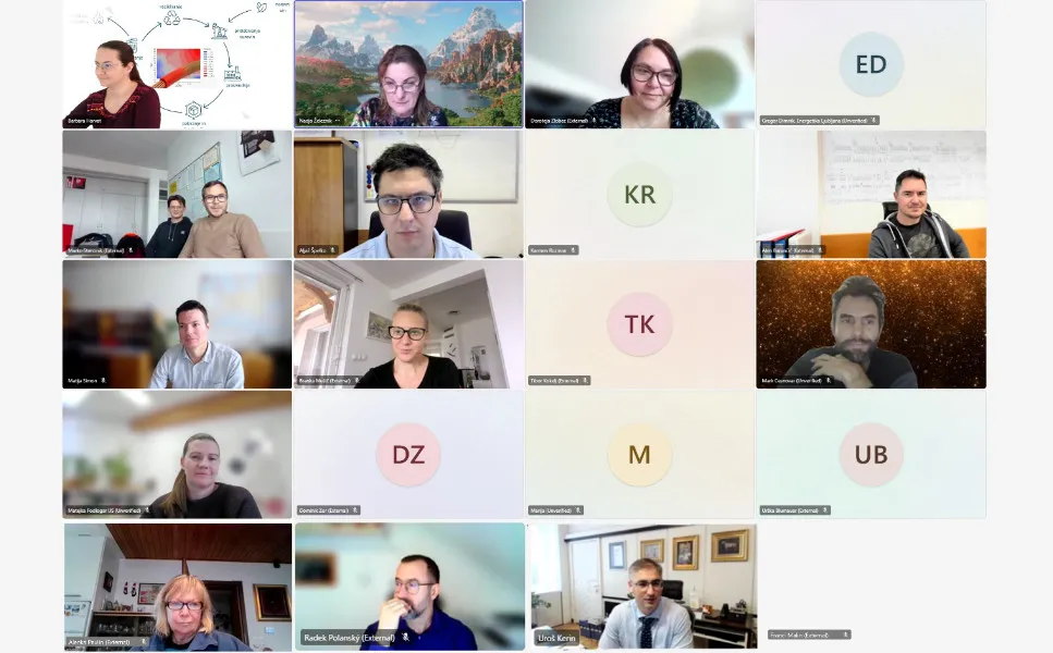 Online Meeting